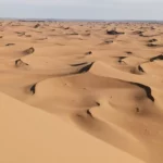 Dunes dans le désert
