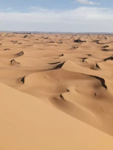Dunes dans le désert